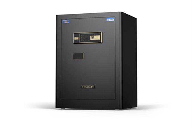 电子保险箱系列-BGX-A/DD45