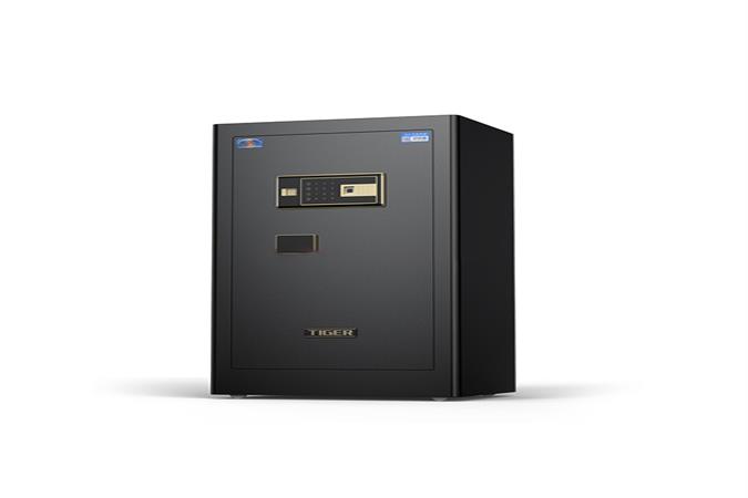 电子保险箱系列-BGX-A/DD25