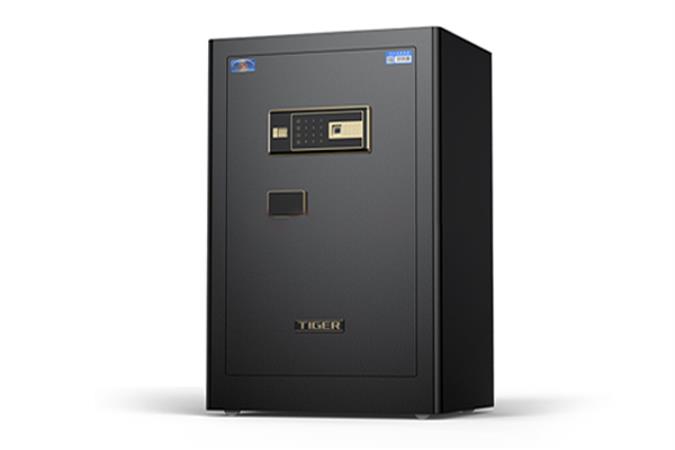 电子保险箱系列-BGX-A/DD53